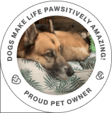 founder sunil damodar