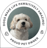 founder sunil damodar